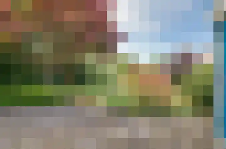 Etstoel 13 Vries thumbnail 32