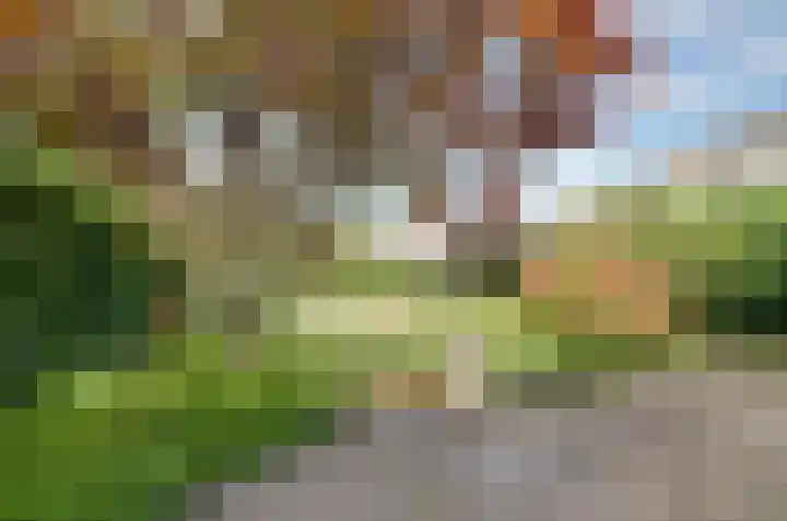 Etstoel 13 Vries thumbnail 33