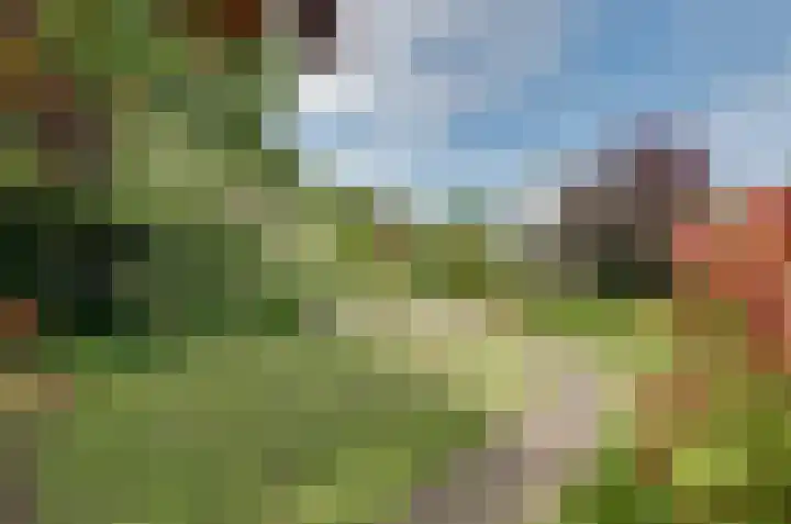 Etstoel 13 Vries thumbnail 34
