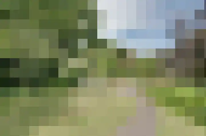 Etstoel 13 Vries thumbnail 35