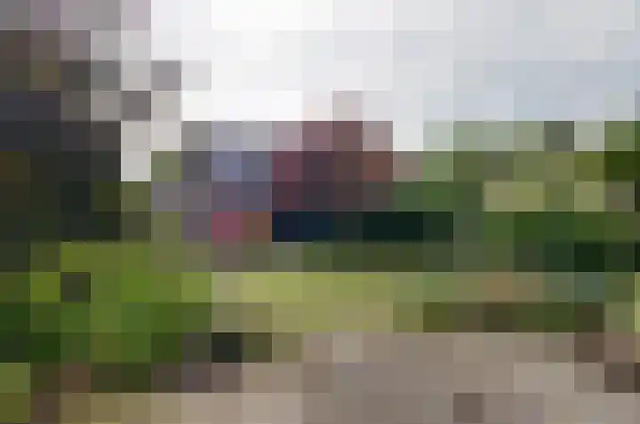 Etstoel 13 Vries thumbnail 36