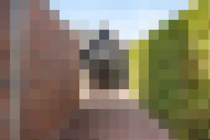 Etstoel 13 Vries thumbnail 38
