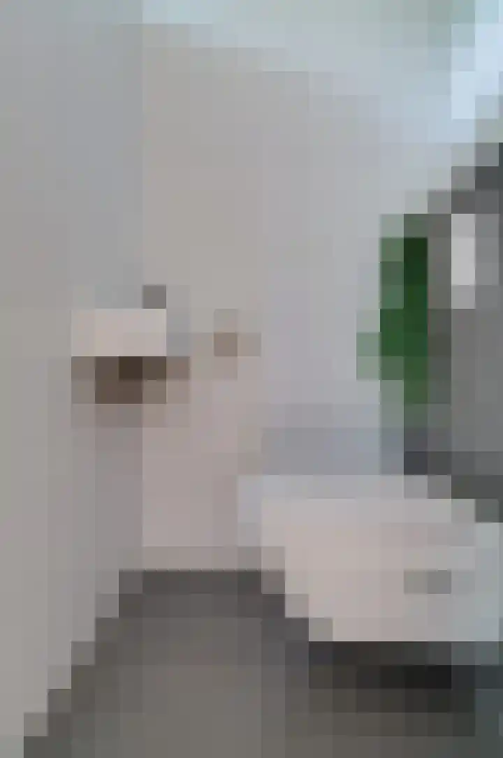 Etstoel 13 Vries thumbnail 9