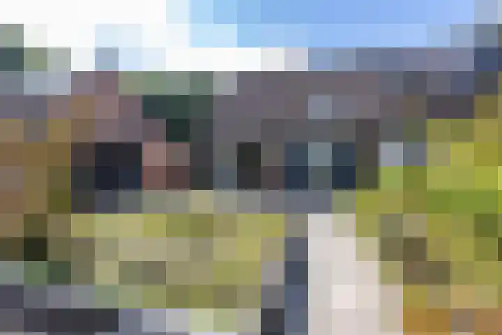 Etstoel 20 Vries thumbnail 10