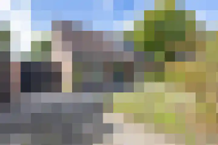 Etstoel 20 Vries thumbnail 11