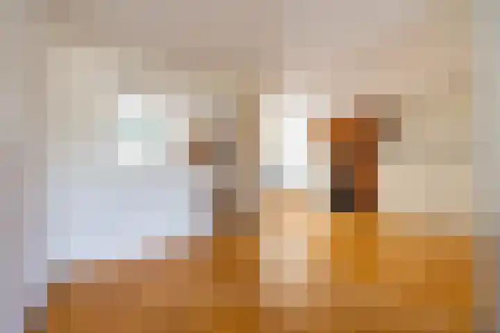 Etstoel 20 Vries thumbnail 22