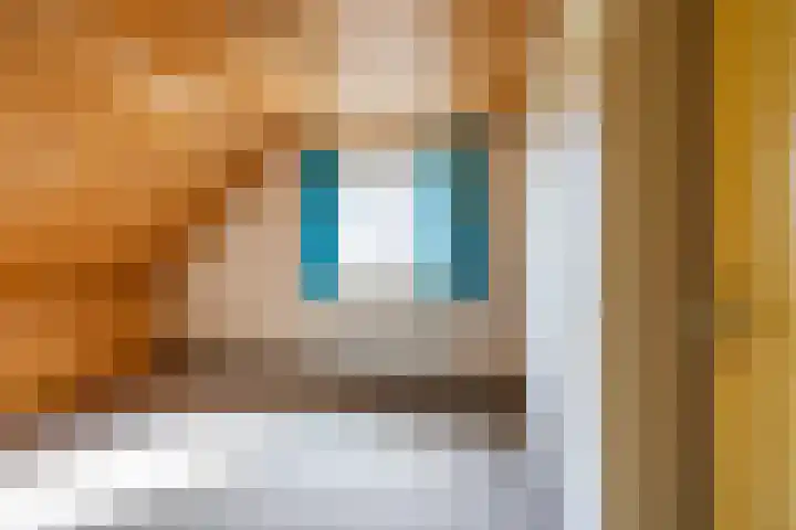 Etstoel 20 Vries thumbnail 31