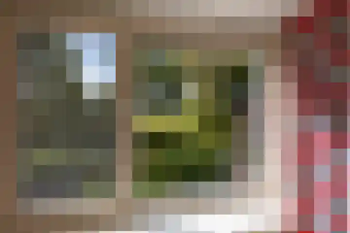 Etstoel 20 Vries thumbnail 35