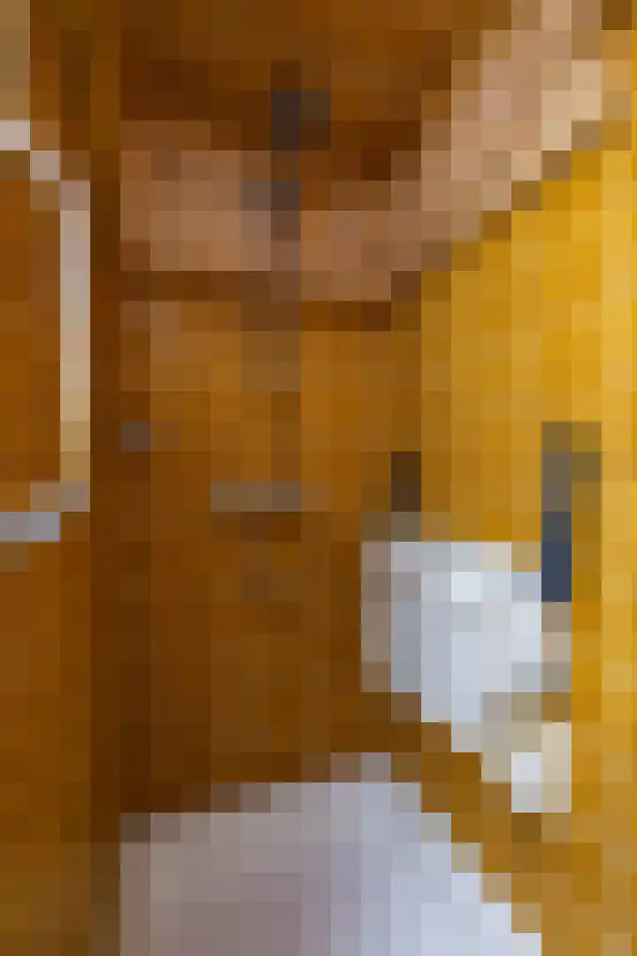 Etstoel 20 Vries thumbnail 39