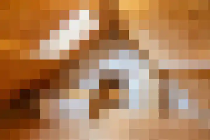 Etstoel 20 Vries thumbnail 44