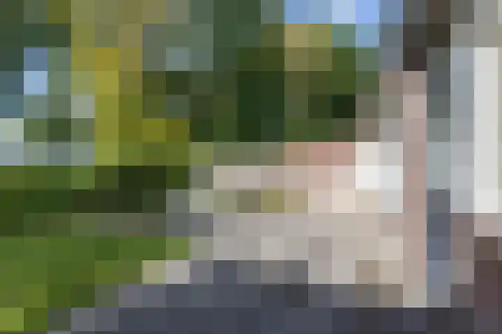 Etstoel 20 Vries thumbnail 48