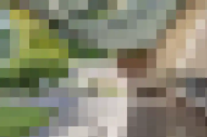 Etstoel 20 Vries thumbnail 49