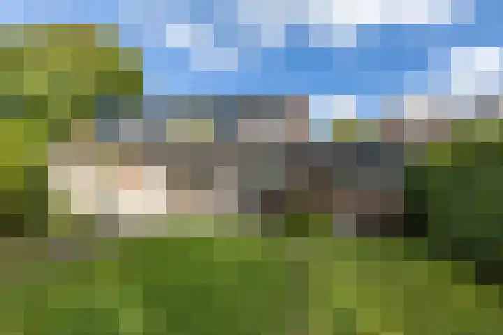Etstoel 20 Vries thumbnail 5