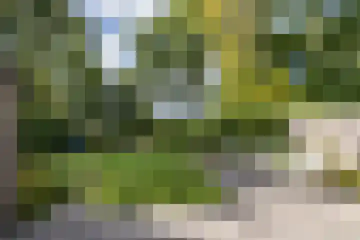 Etstoel 20 Vries thumbnail 50