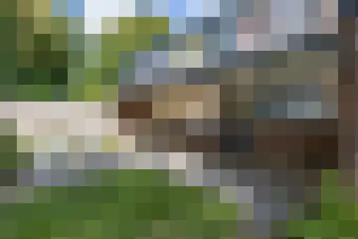 Etstoel 20 Vries thumbnail 51