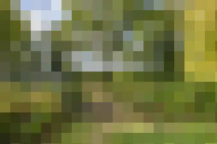 Etstoel 20 Vries thumbnail 53