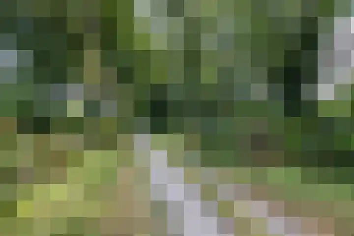 Etstoel 20 Vries thumbnail 54