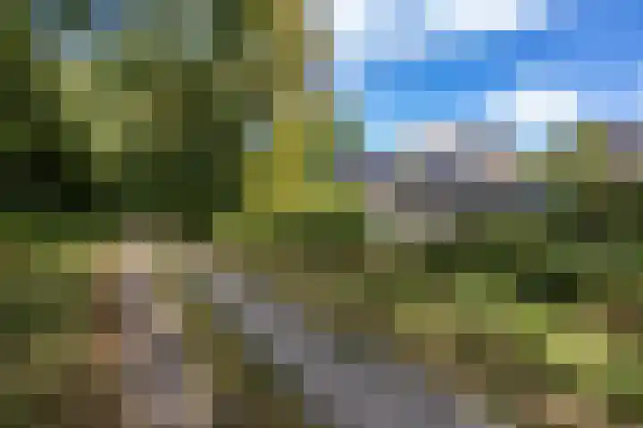 Etstoel 20 Vries thumbnail 55