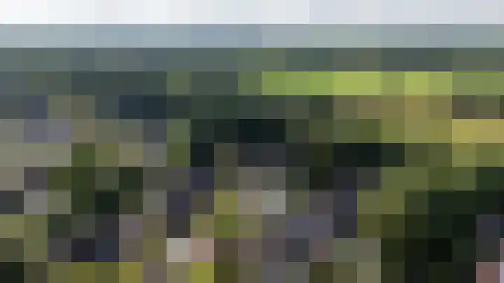 Etstoel 20 Vries thumbnail 56