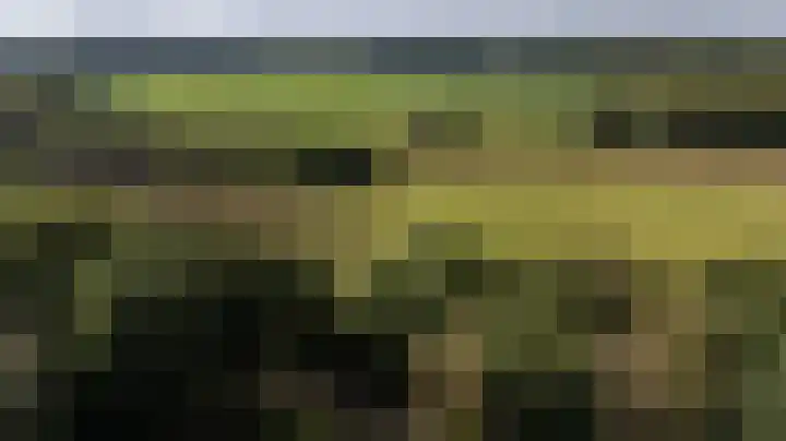 Etstoel 20 Vries thumbnail 57
