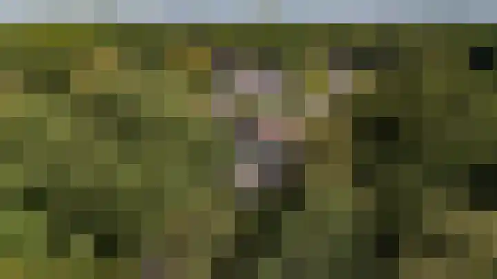Etstoel 20 Vries thumbnail 58