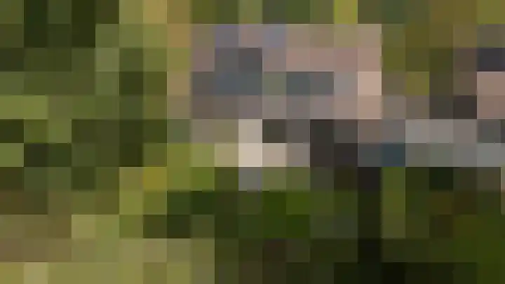 Etstoel 20 Vries thumbnail 59