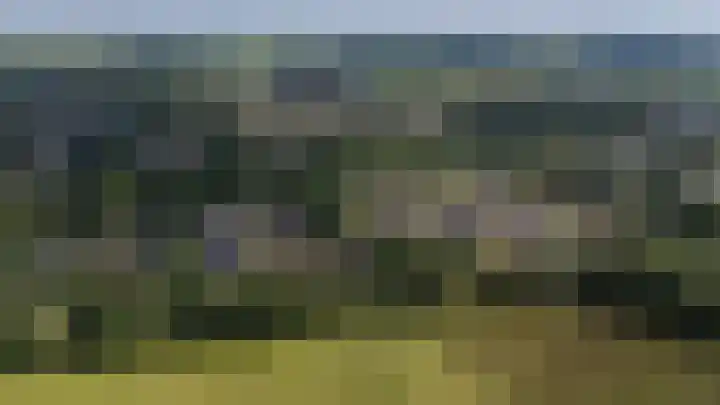 Etstoel 20 Vries thumbnail 6