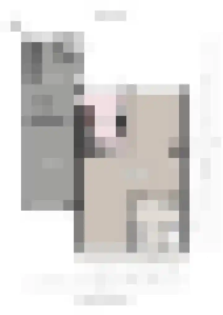 Etstoel 20 Vries thumbnail 60
