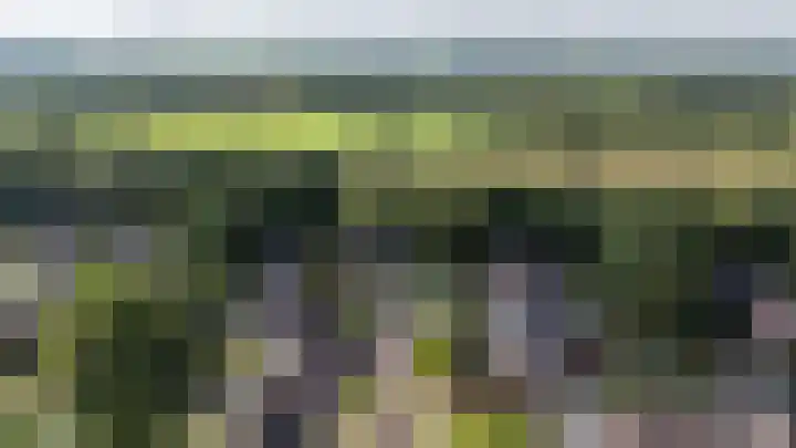 Etstoel 20 Vries thumbnail 7