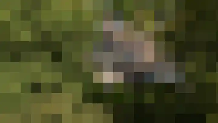 Etstoel 20 Vries thumbnail 8