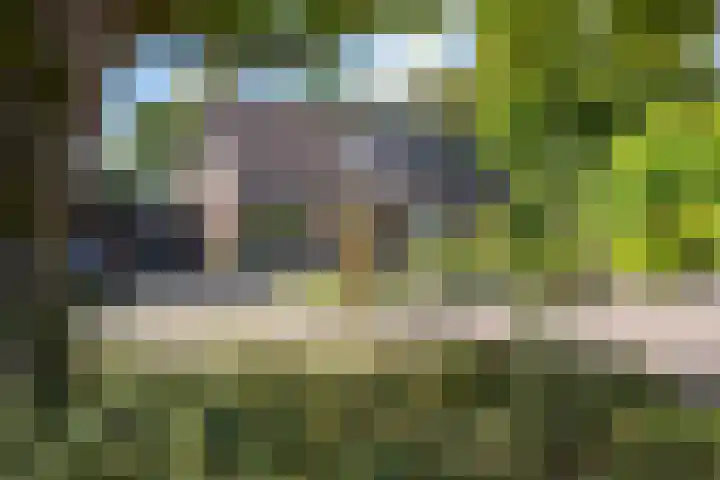 Etstoel 20 Vries thumbnail 9