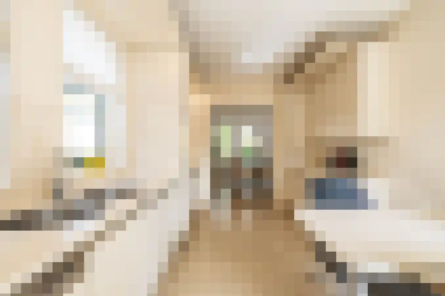 Etstoel 23 Rolde thumbnail 20