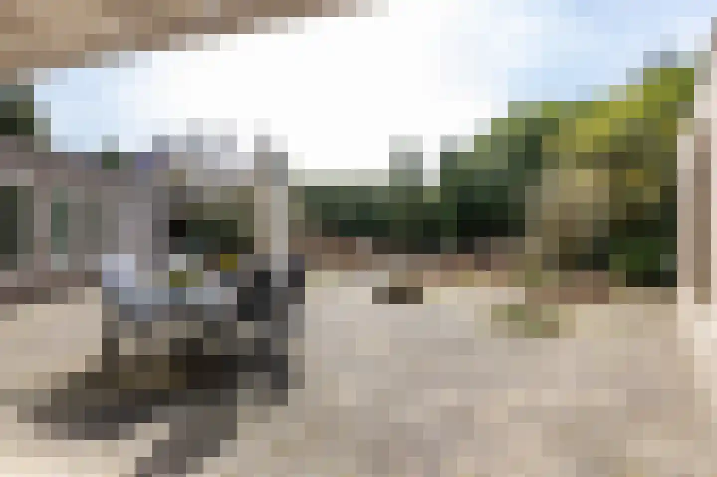 Etstoel 23 Rolde thumbnail 26