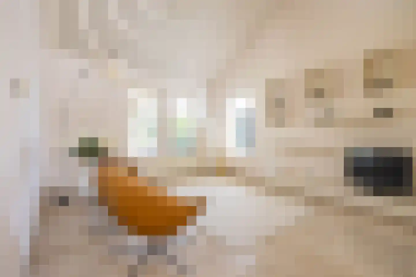 Etstoel 23 Rolde thumbnail 27