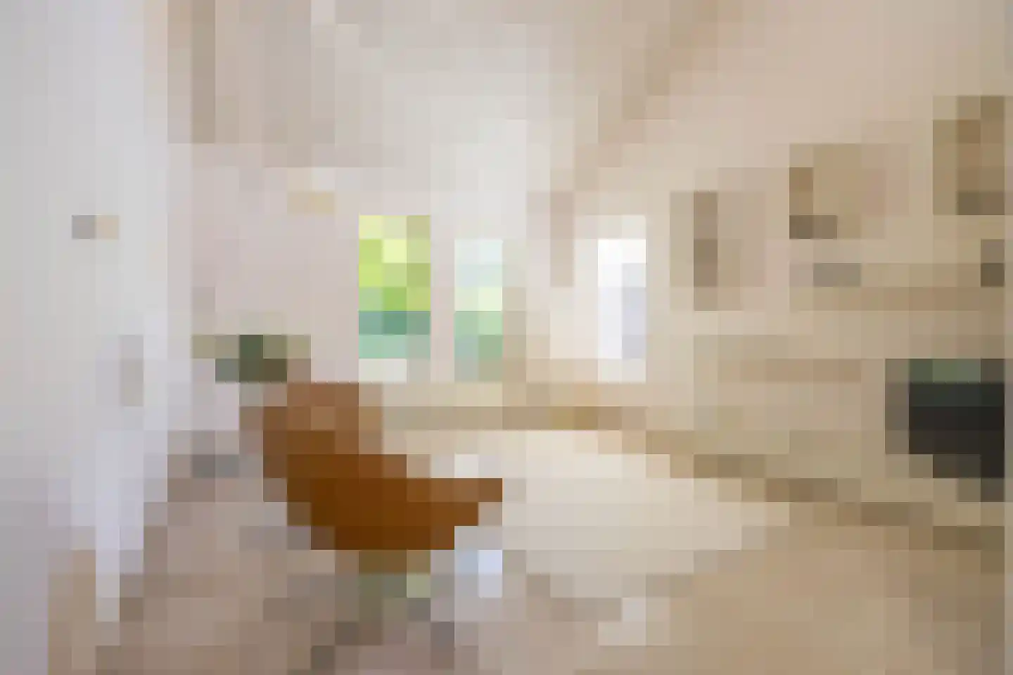 Etstoel 23 Rolde thumbnail 30