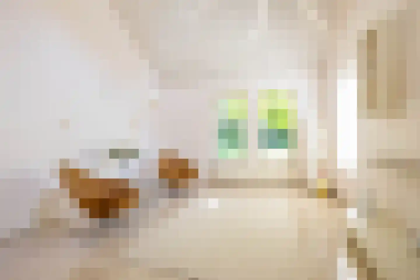 Etstoel 23 Rolde thumbnail 31