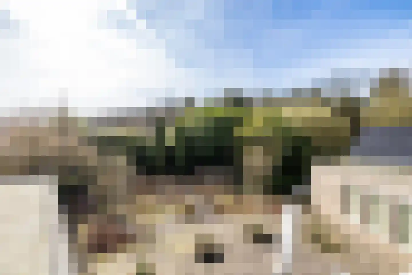 Etstoel 23 Rolde thumbnail 48