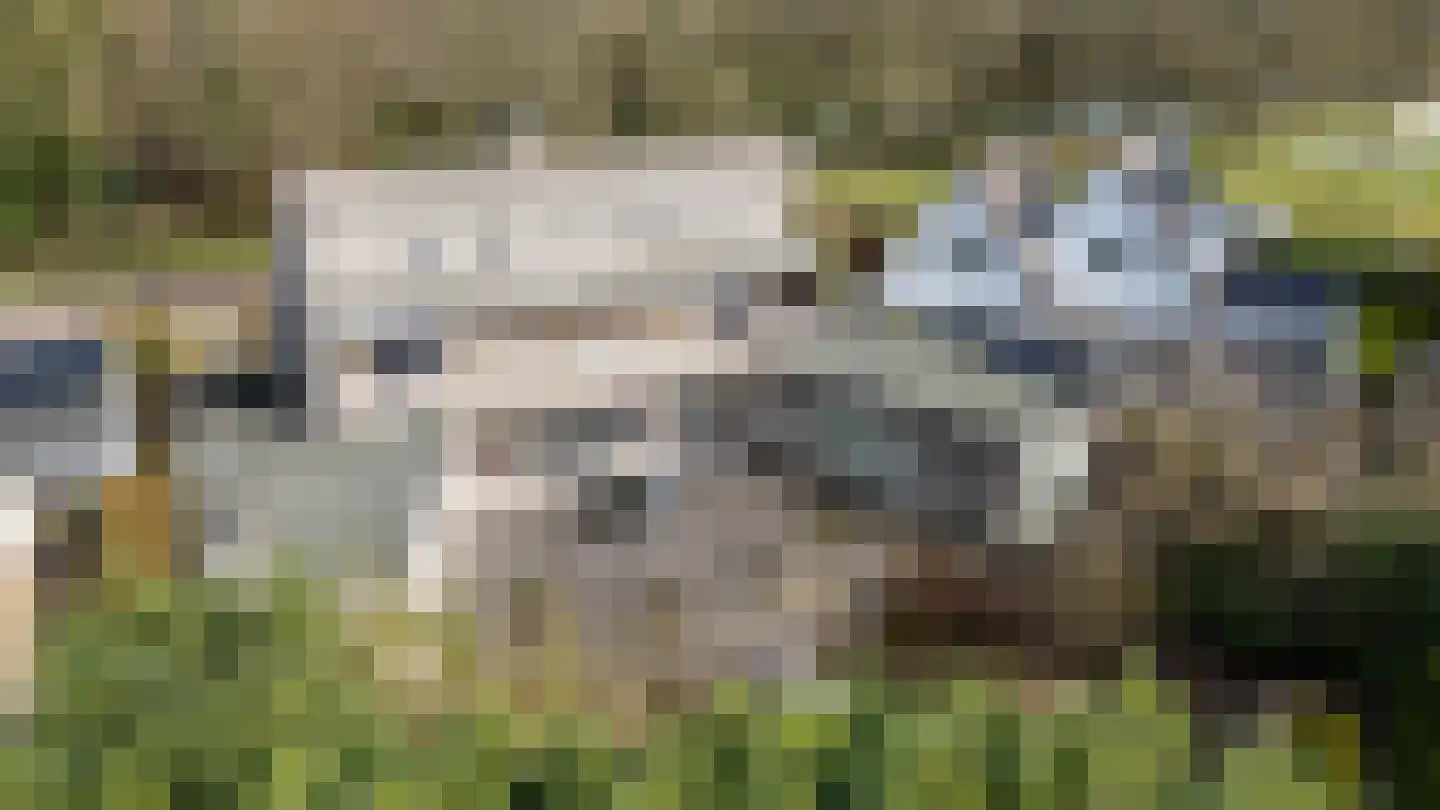 Etstoel 23 Rolde thumbnail 61