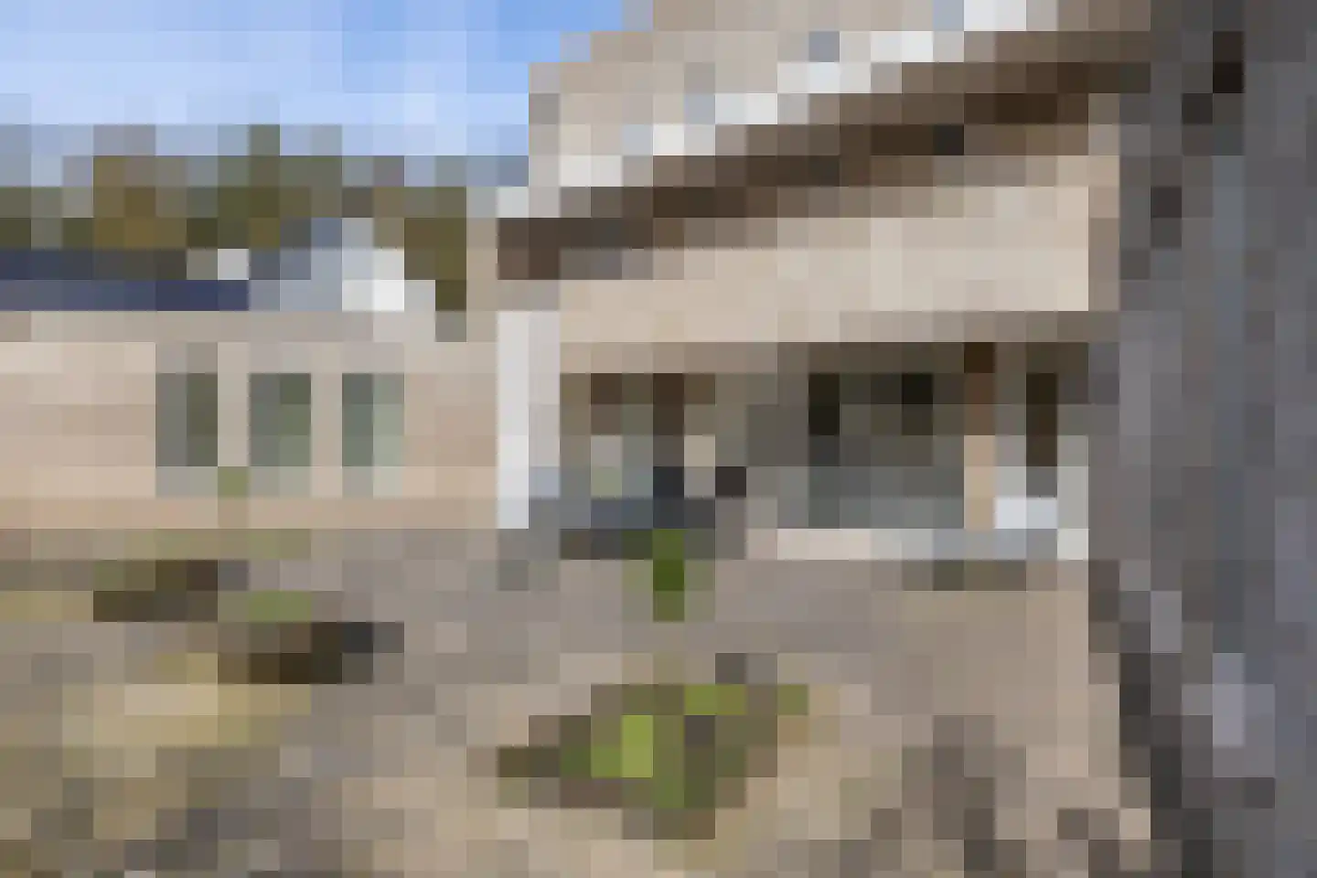 Etstoel 23 Rolde thumbnail 62
