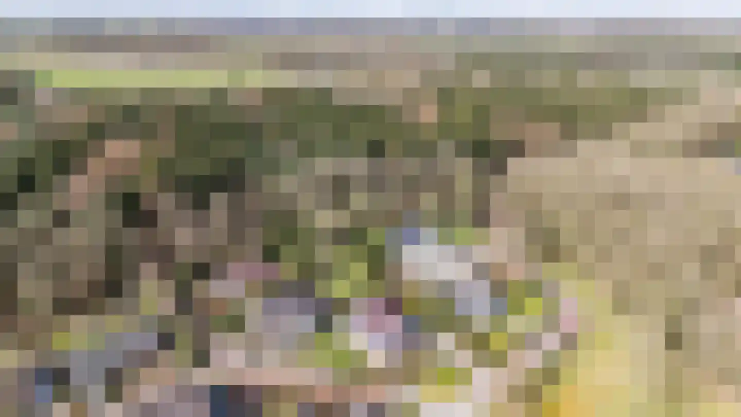 Etstoel 23 Rolde thumbnail 66
