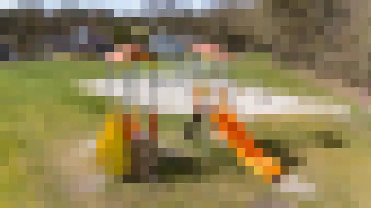 Etstoel 23 Rolde thumbnail 67