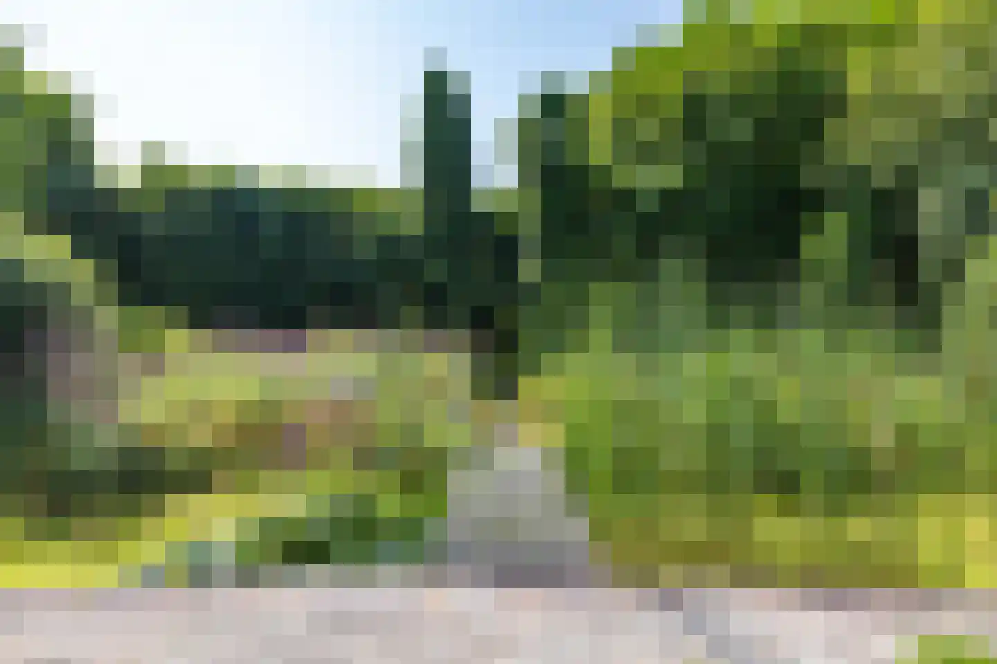 Etstoel 23 Rolde thumbnail 67