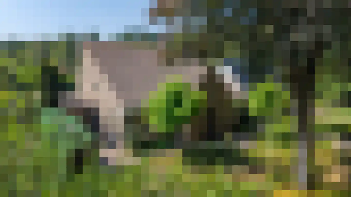 Etstoel 23 Rolde thumbnail 68