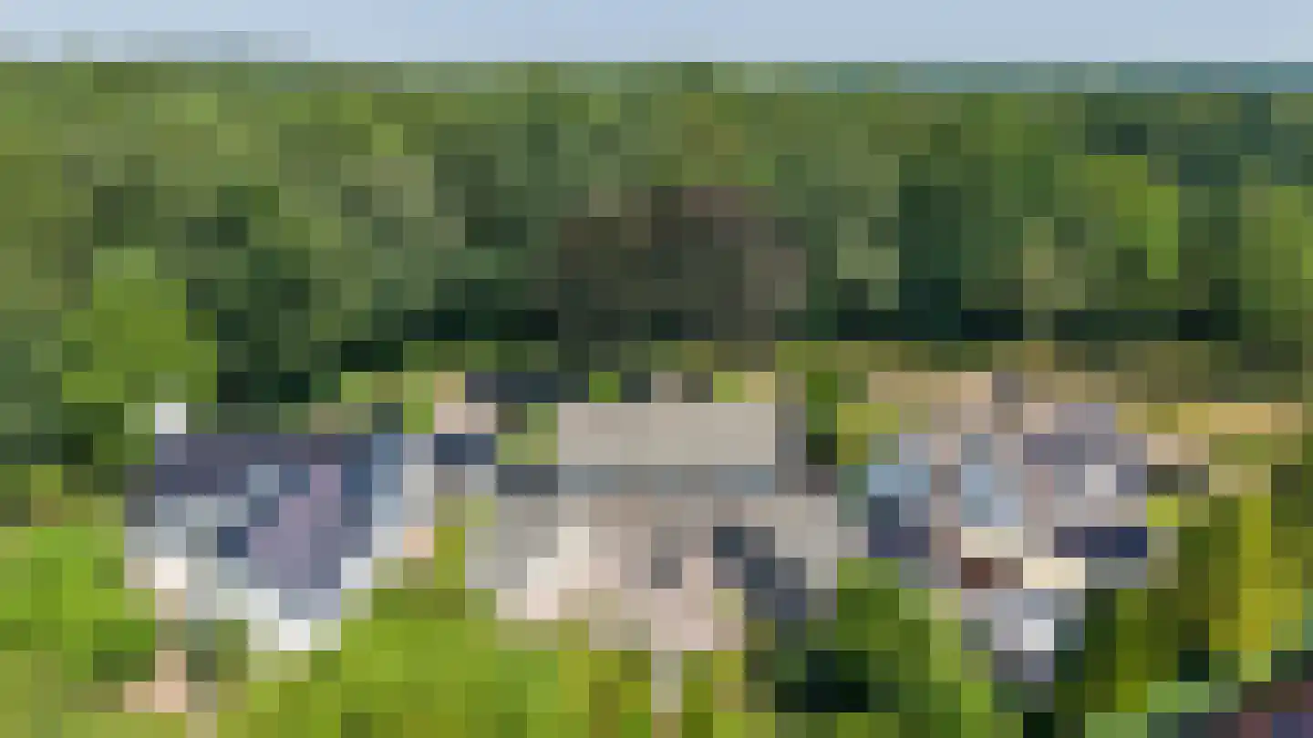 Etstoel 23 Rolde thumbnail 71