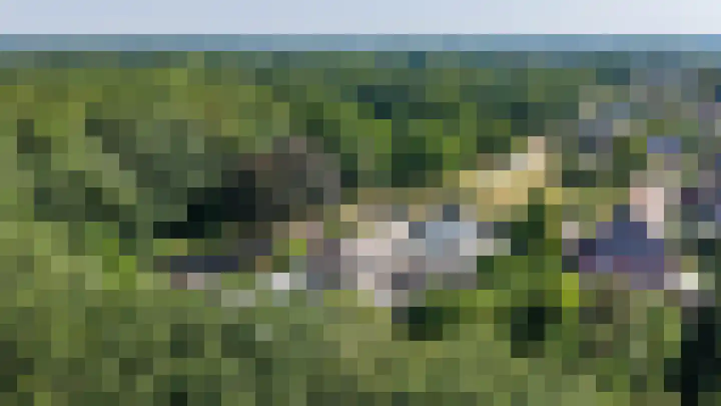 Etstoel 23 Rolde thumbnail 72
