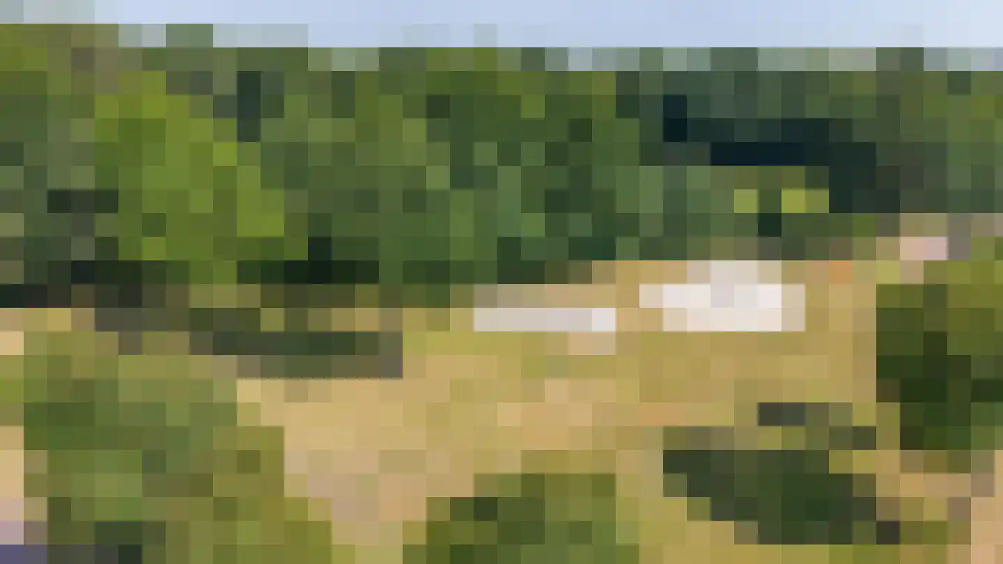 Etstoel 23 Rolde thumbnail 73