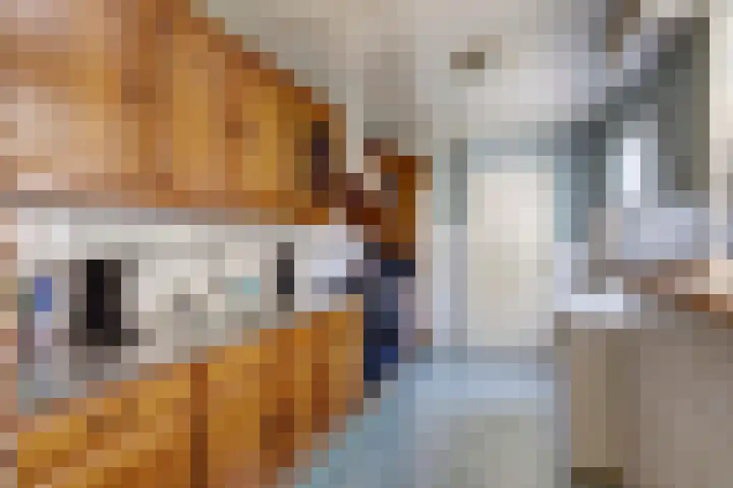 Etstoelstraat 2 Hoogeveen thumbnail 14