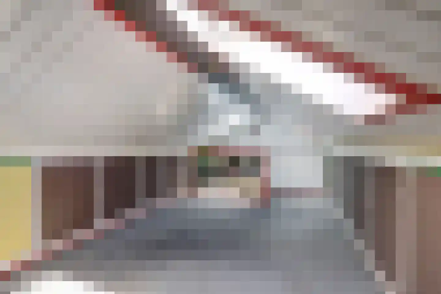 Etstoelstraat 2 Hoogeveen thumbnail 27