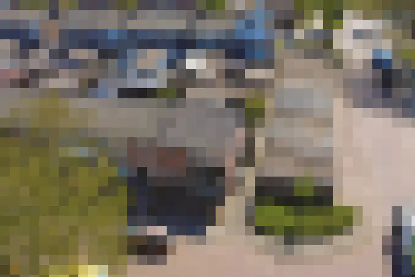 Etstoelstraat 2 Hoogeveen thumbnail 29