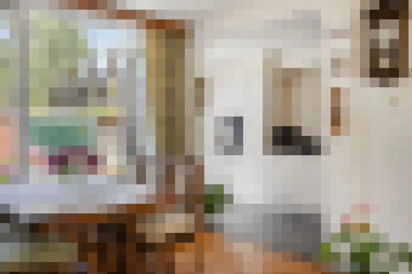 Etta Palmstraat 11 Purmerend thumbnail 14